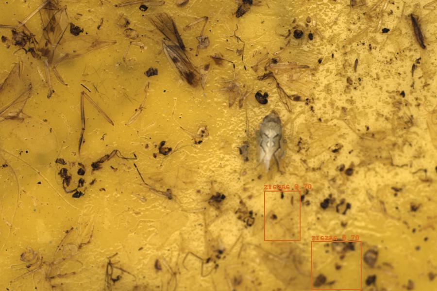 Image 10